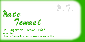 mate temmel business card